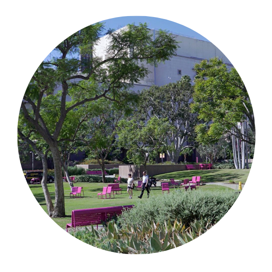 Grand Park cover image